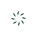 Website Preloader