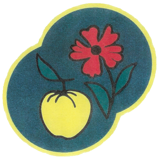 icon_ogv_deizisau